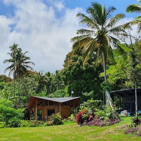 Villa Kalani Oceanside Retreat Pahoa Exterior foto