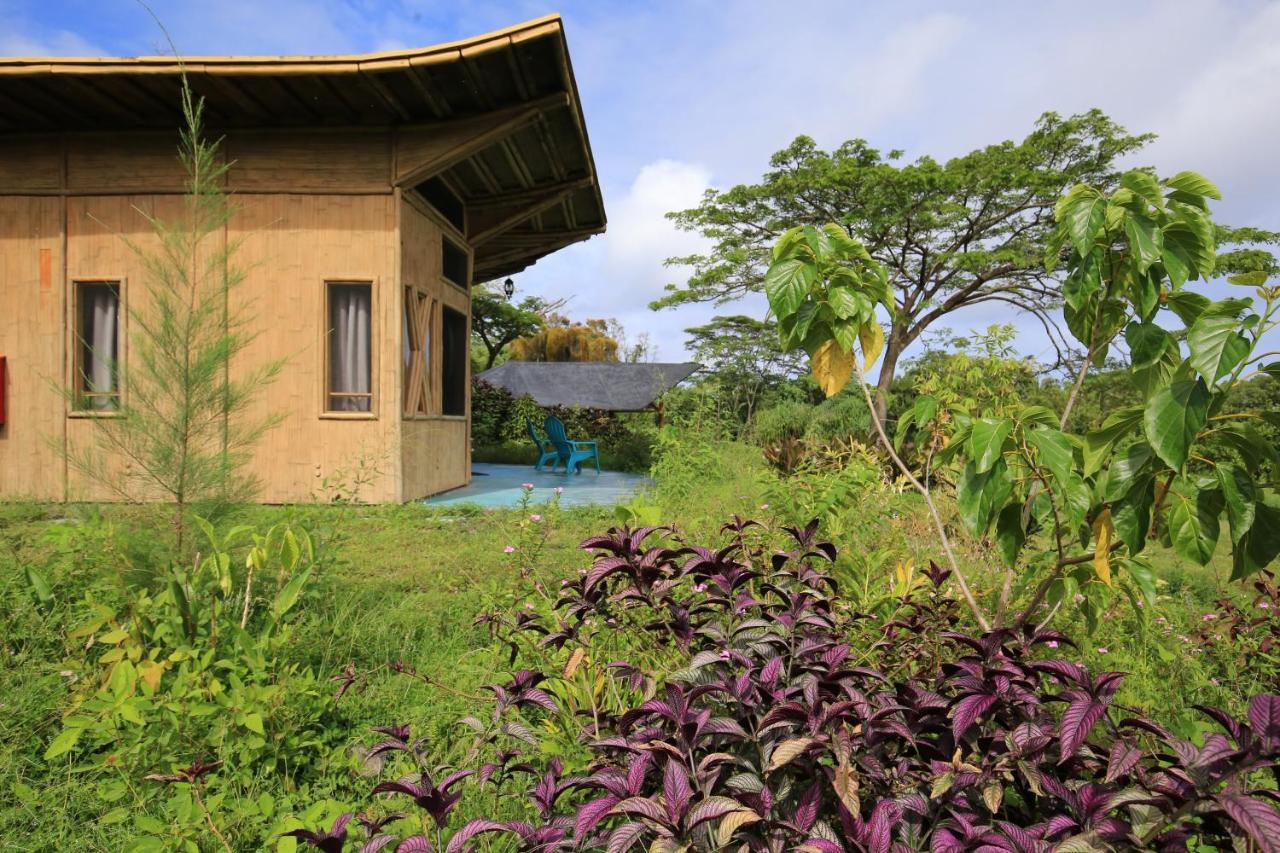Villa Kalani Oceanside Retreat Pahoa Exterior foto