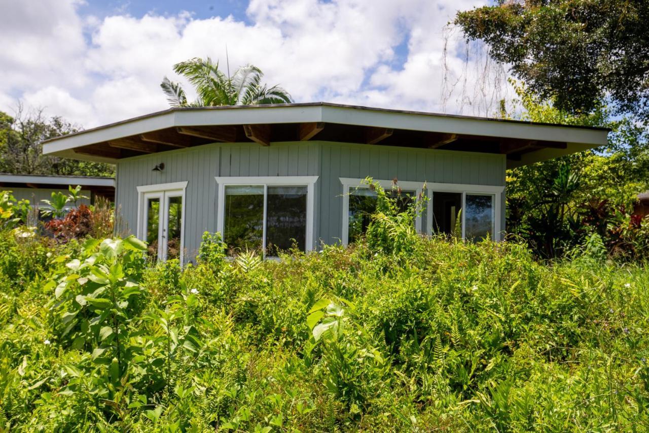 Villa Kalani Oceanside Retreat Pahoa Exterior foto